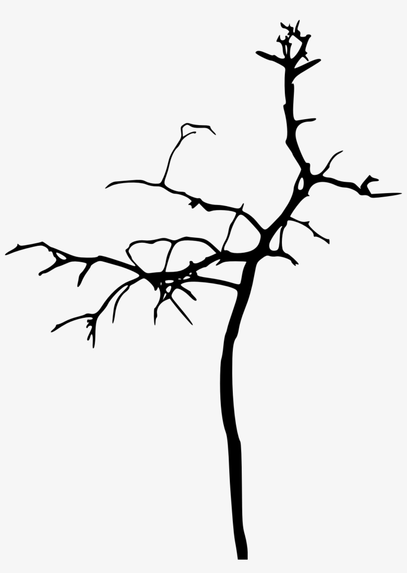 Go To Image - Bare Tree Png, transparent png download
