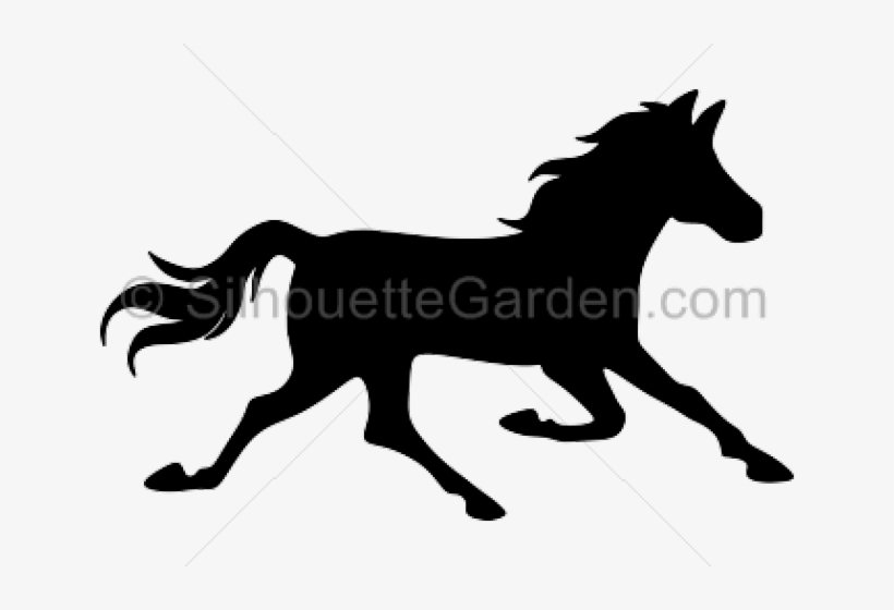 Horse, transparent png download