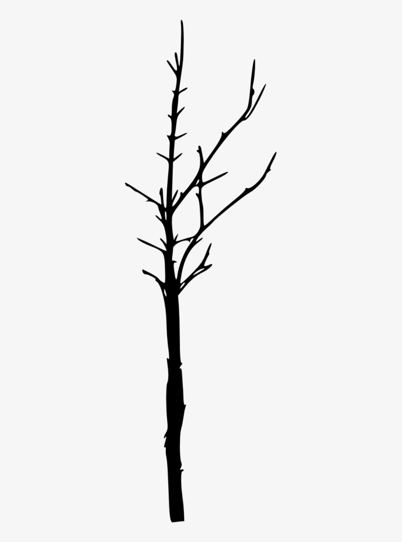 Png File Size - Tree, transparent png download