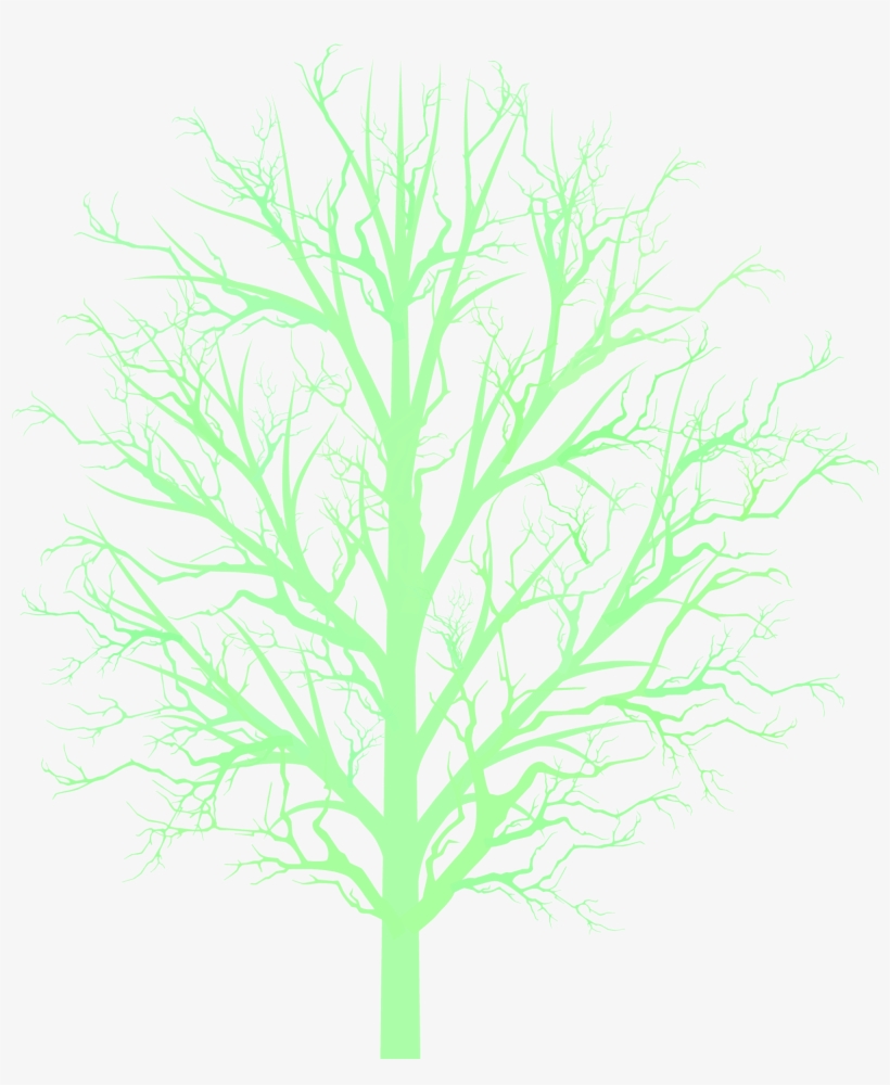 Bare Tree Png Bare Tree Branc - Darkness, transparent png download