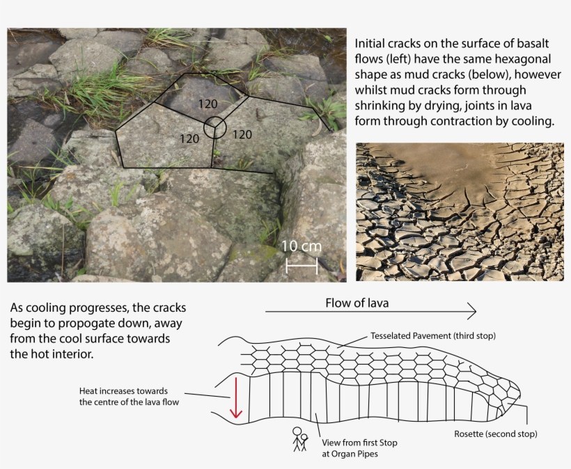 Organpipes Cracking - Cobblestone, transparent png download