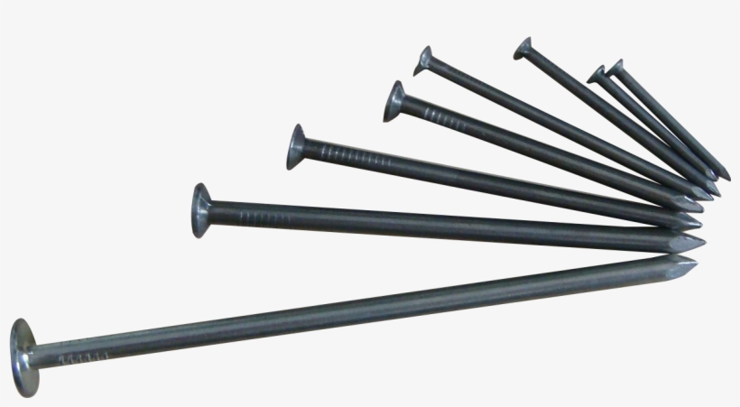 Steel Nails - Pelican Industries, transparent png download