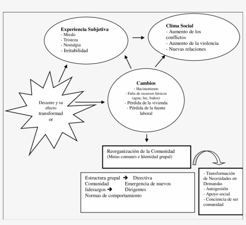 Esquema De Codificación Selectiva - Illustration, transparent png download