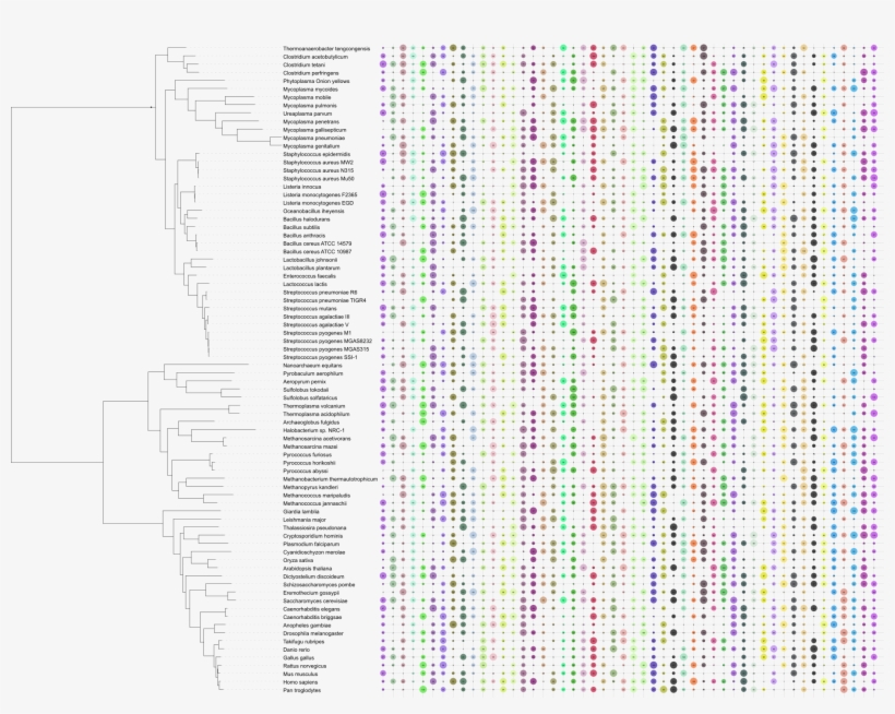 Dot Plot With Full Grid And Dataset Values Displayed - 梶島 正樹, transparent png download