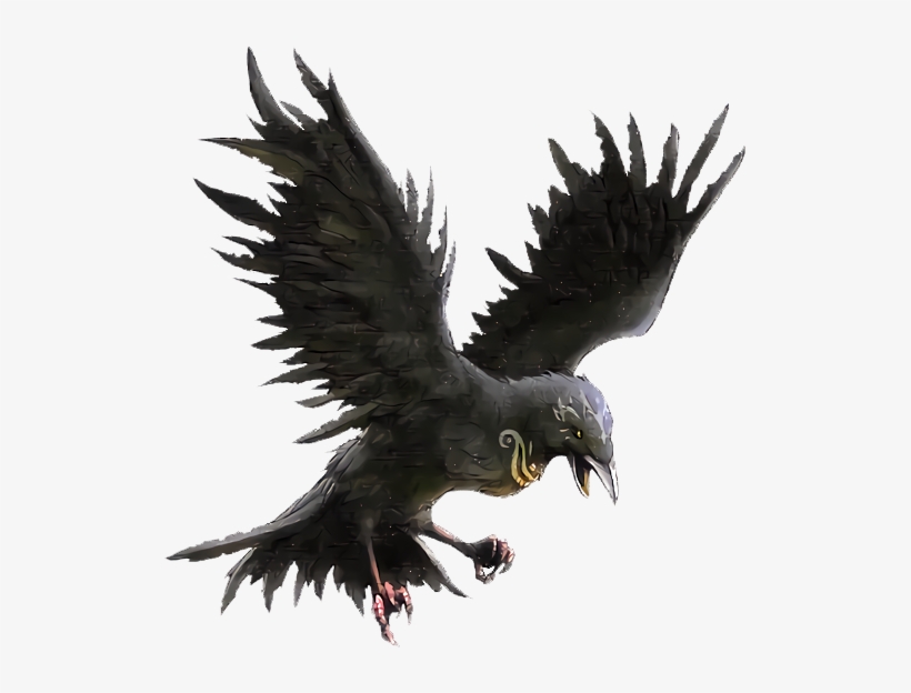 Raven - Raven Clipart, transparent png download