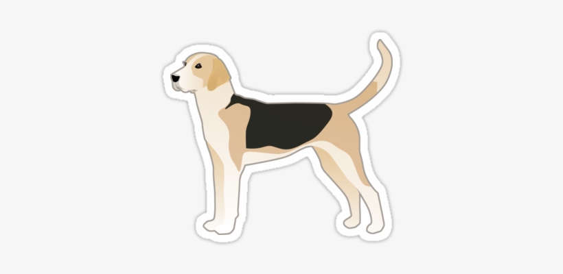 English Foxhound Basic Breed Silhouette By Tripoddogdesign - Englischer Foxhound-hundezucht-illustration Haustiermarke, transparent png download