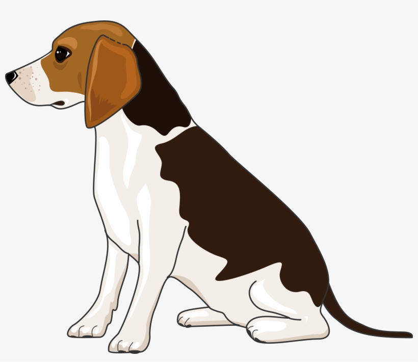 Chien - Harrier, transparent png download