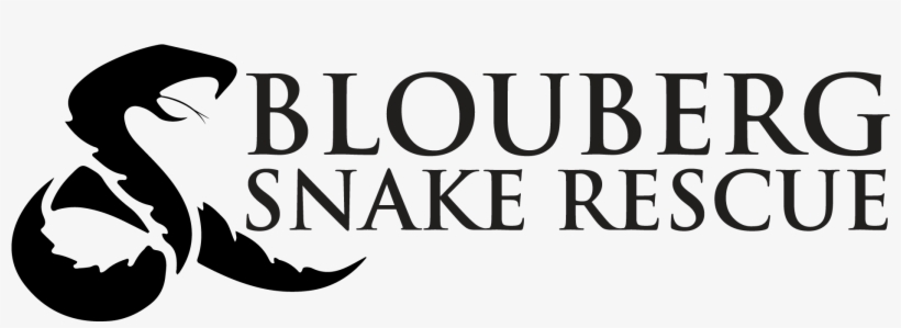 Logo, transparent png download