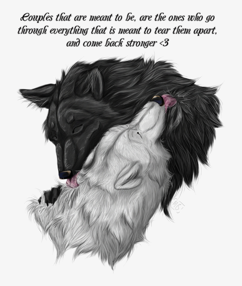 Things Photo - Striped Skunk, transparent png download