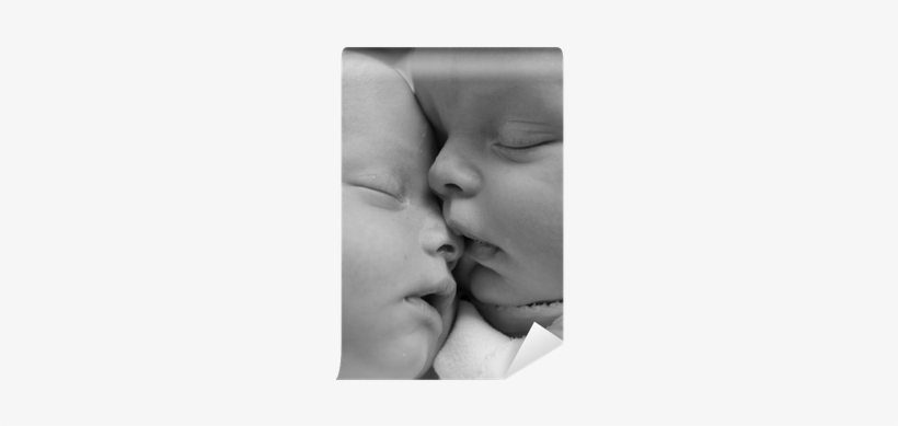 Twin Babies, transparent png download