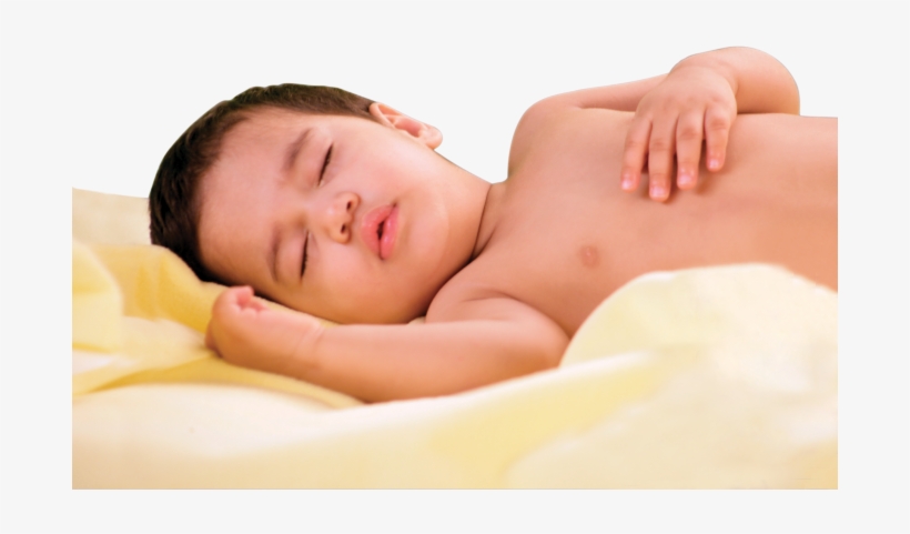 Quick Dry Bed Protector Lilac - Large, transparent png download