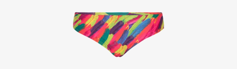 Briefs Beach Short - Lingadore Pink/multi Rainbow Feather Print Bikini Shorts, transparent png download