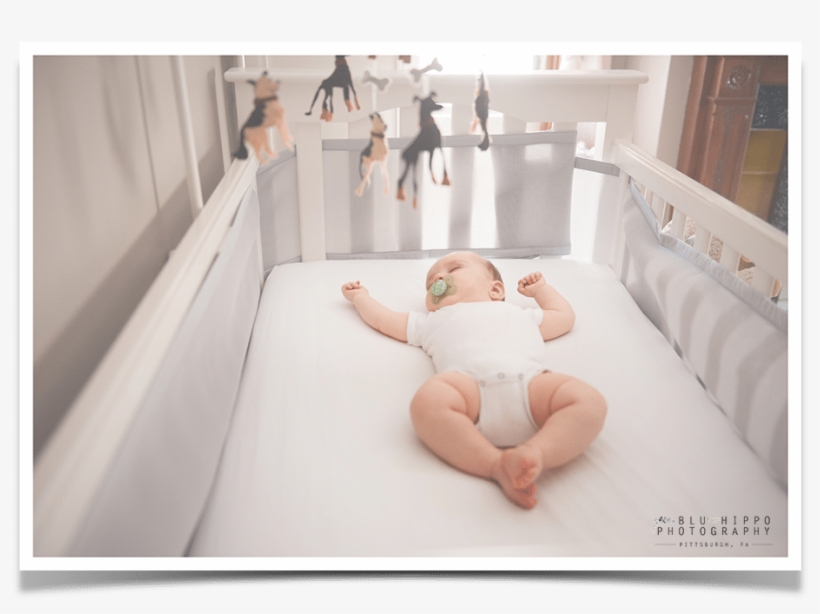 6 Months Baby Photographer Pittsburgh - Baby, transparent png download
