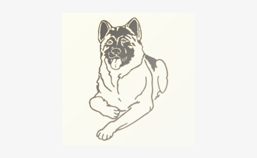 Akita, transparent png download