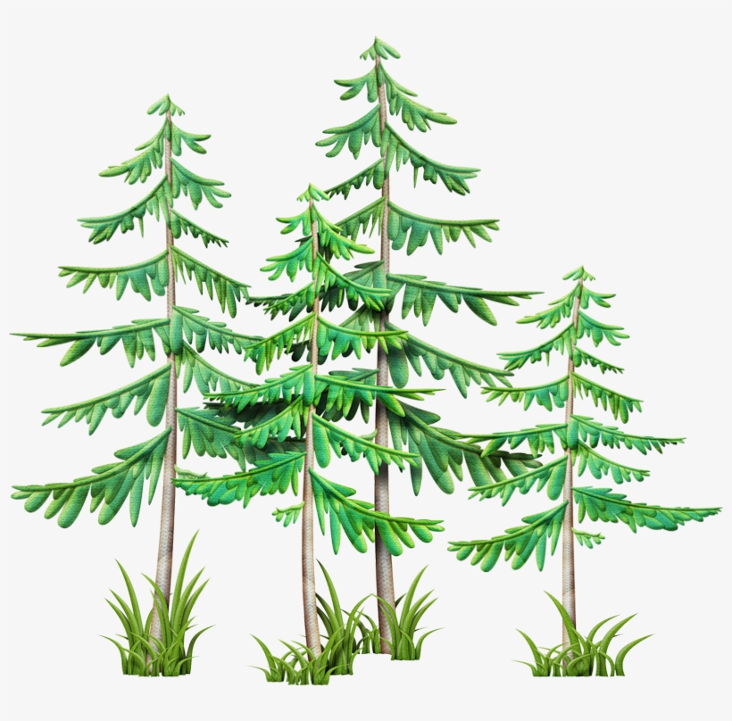 Trees ‿✿⁀°••○ - Trees And Streams Clipart, transparent png download