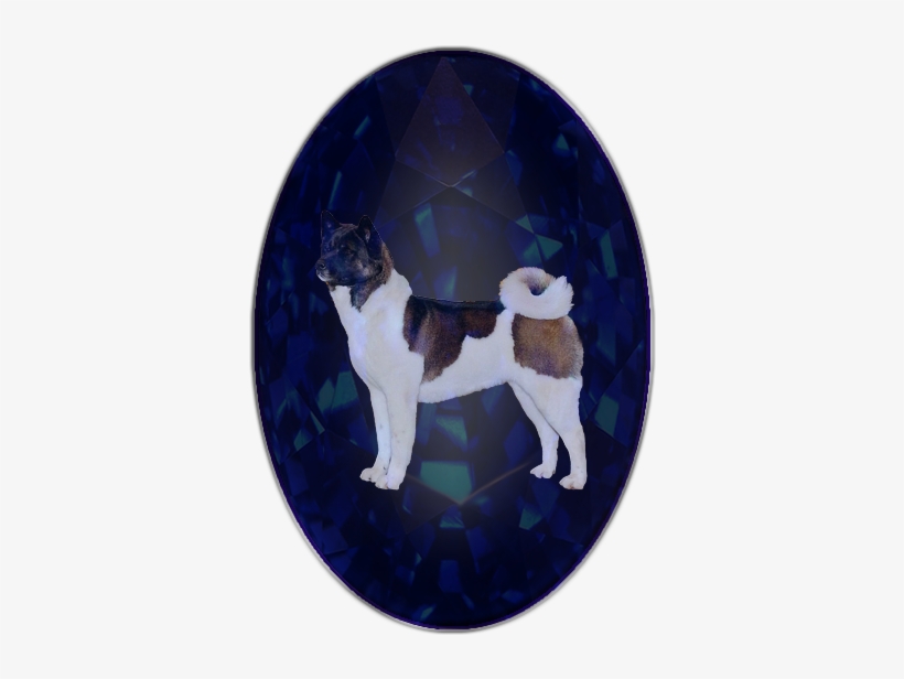 I Fell In Love With Akitas 10 Years Ago When I Acquired - Sapphire, transparent png download