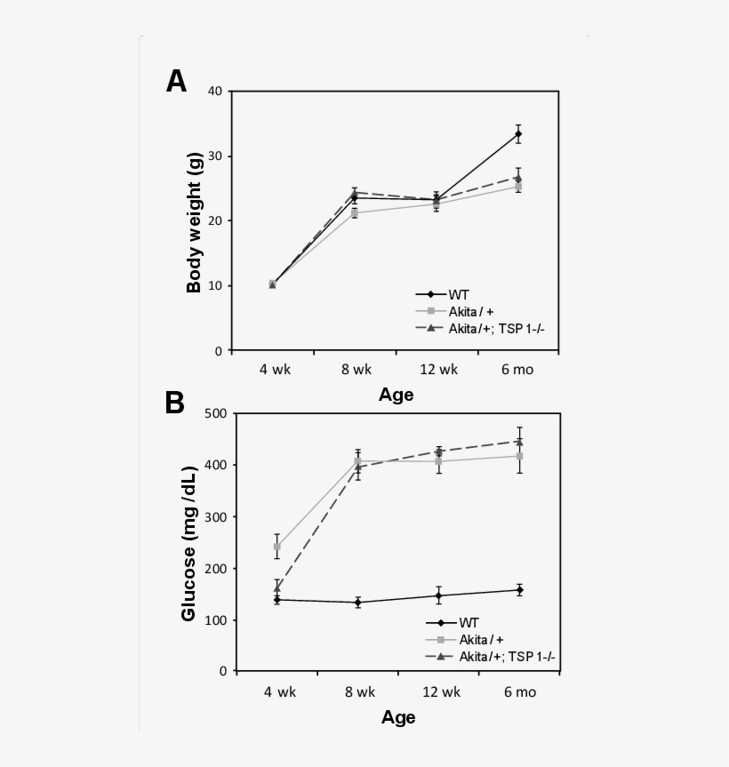 Blood Glucose And Body Weight In Wild-type And Akita/ - Diagram, transparent png download