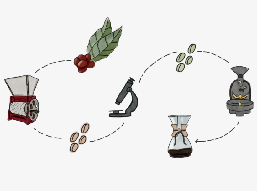 Business Card - 9 - Fermentation, transparent png download