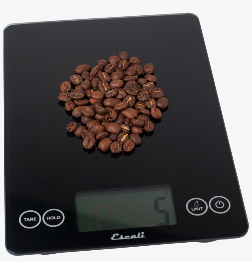 Seed, transparent png download