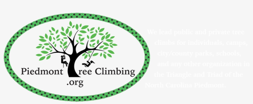 Piedmont Tree Climbing - Climbing, transparent png download