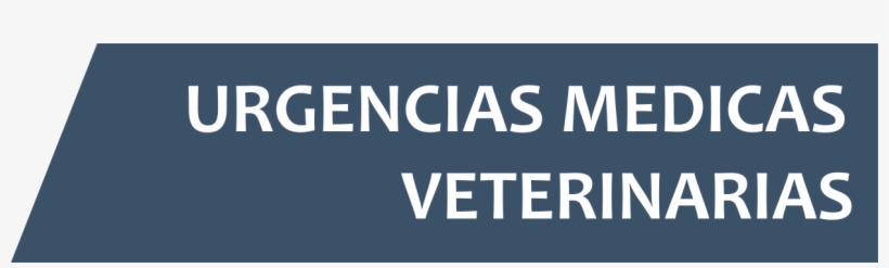 Letra Cuv L - Advocate, transparent png download