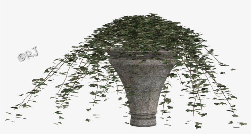 Potted Plants Set I - Houseplant, transparent png download