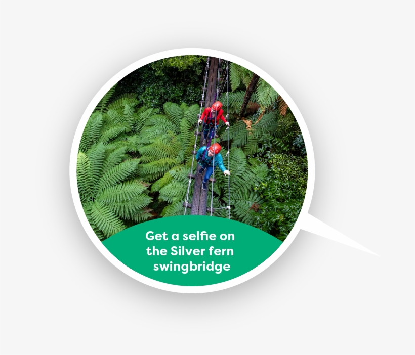 Get A Selfie On The Silver Fern Swingbridge - Circle, transparent png download
