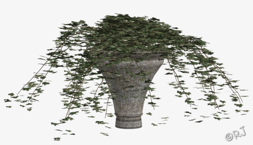Potted Plants Set I - Bigtree, transparent png download
