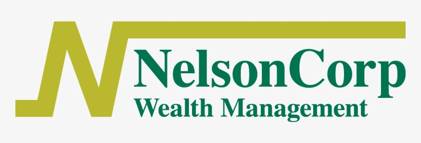 Nelsoncorp Wealth Management - Start And Manage A Nursing Home Care Business: Step, transparent png download