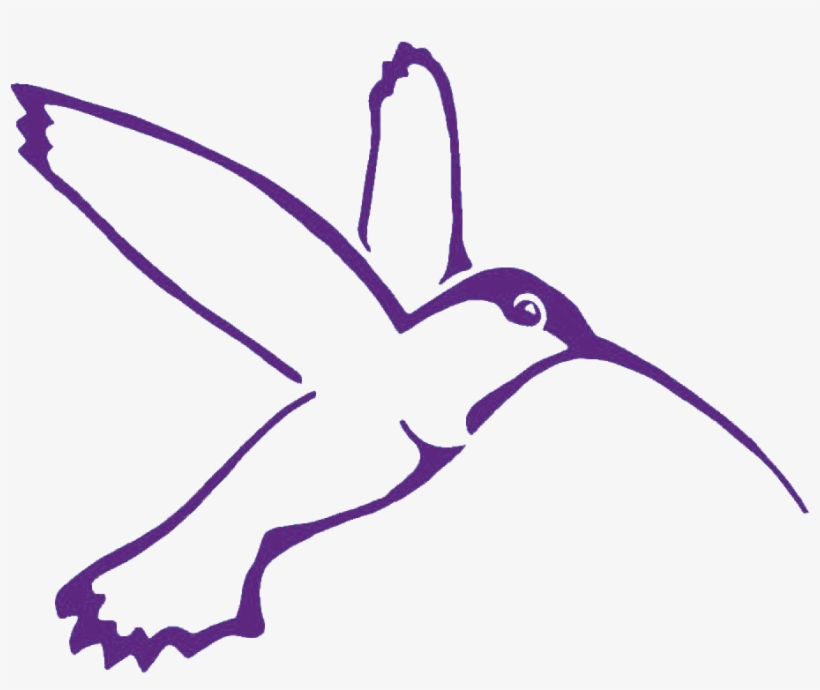 Colibri Facilitation - Hummingbird, transparent png download
