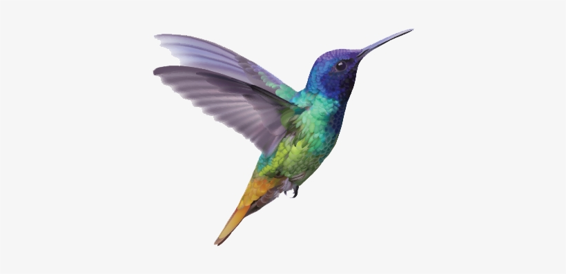 Colibri Barr - 8 Dagar Att Hoppa I Ett Tropiskt Vattenfall By Fagerlund, transparent png download
