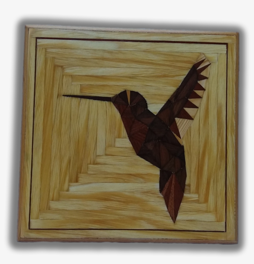 A-colibri - Oystercatcher, transparent png download