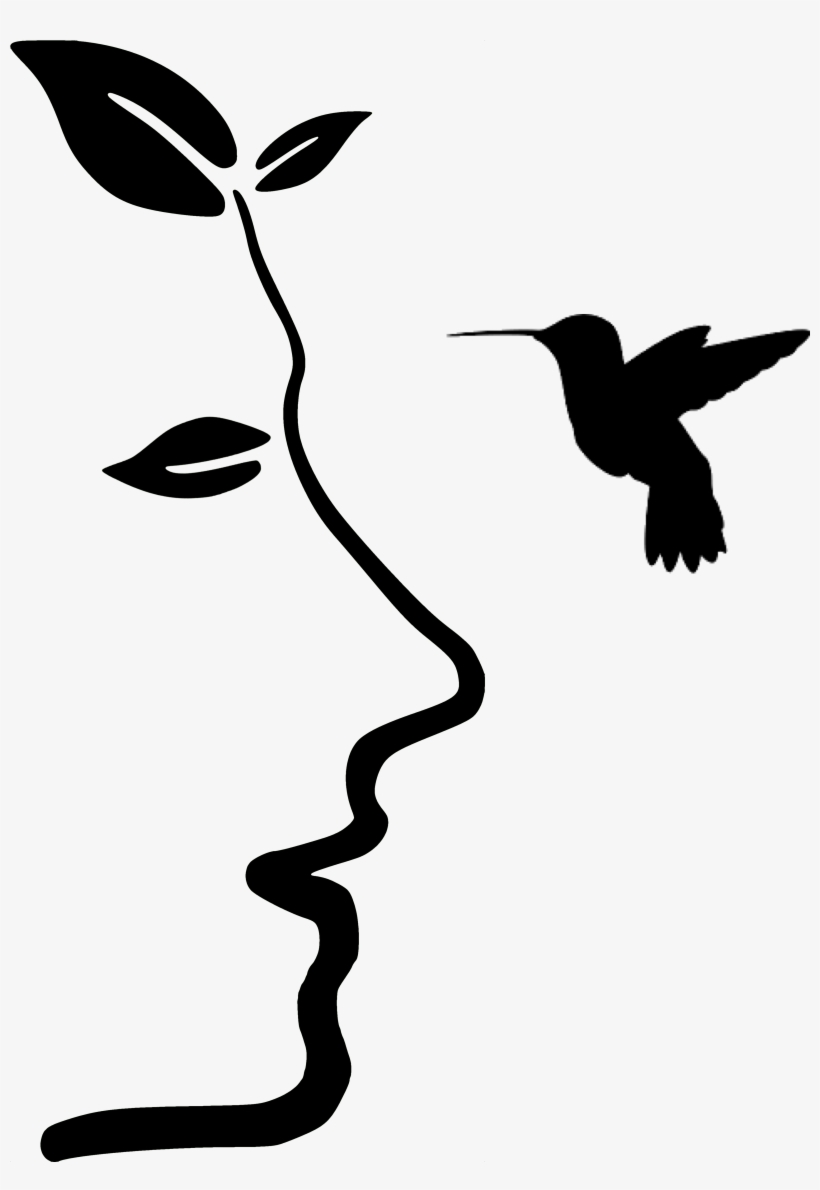 Savonnerie Du Colibri Savonnerie - Hummingbird Cantina; Paperback; Author - D. Michael, transparent png download