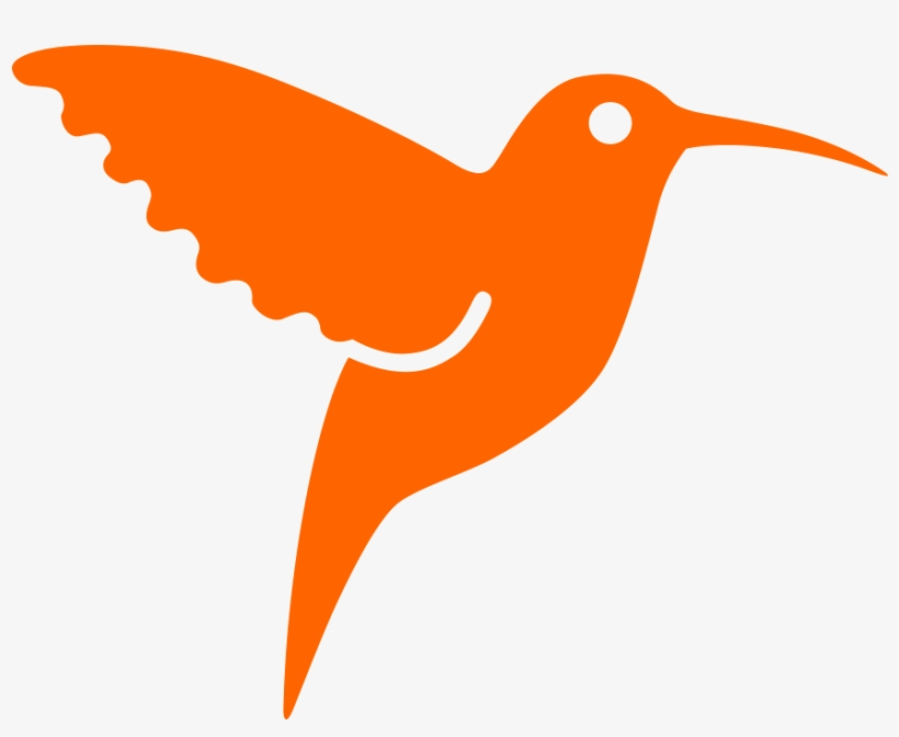 Orange Colibri, transparent png download