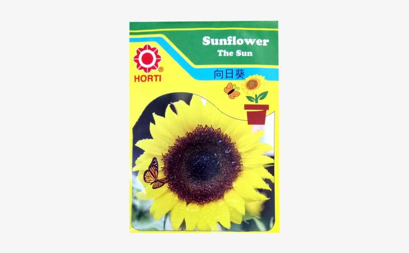 Common Sunflower, transparent png download