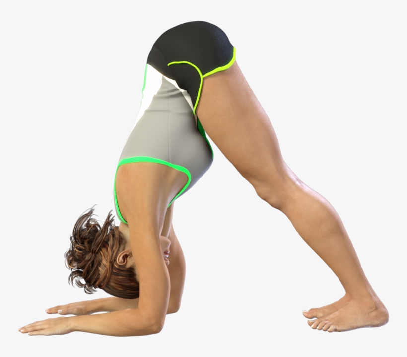 Dolphin Pose - Dolphin, transparent png download