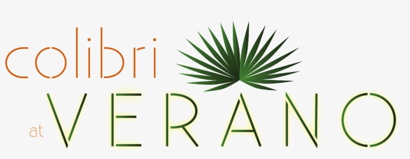 Cropped Colibri Verano Logo Color 1 - Logo, transparent png download