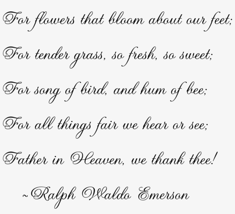 Thanksgiving 12 Marvelous How To Put Christmas Lights - Tajik Alphabet, transparent png download