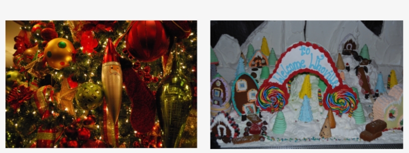 If You Want To See Anthony Do His Thing Live And In - Christmas Ornament, transparent png download