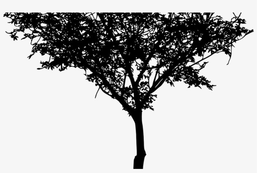 16 Tree Silhouette Vol 3 Onlygfxcom - Portable Network Graphics, transparent png download