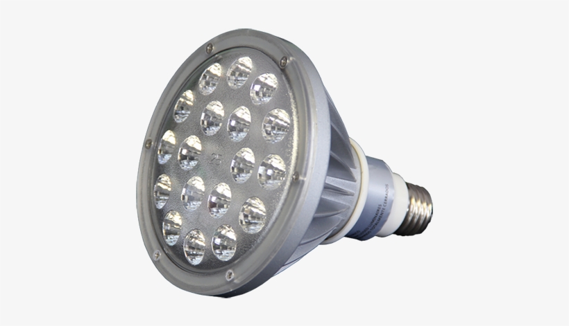 Par38 Led Lamp, Par38 Led Light, Par38 Led Bulb, Light - Led Lamp, transparent png download
