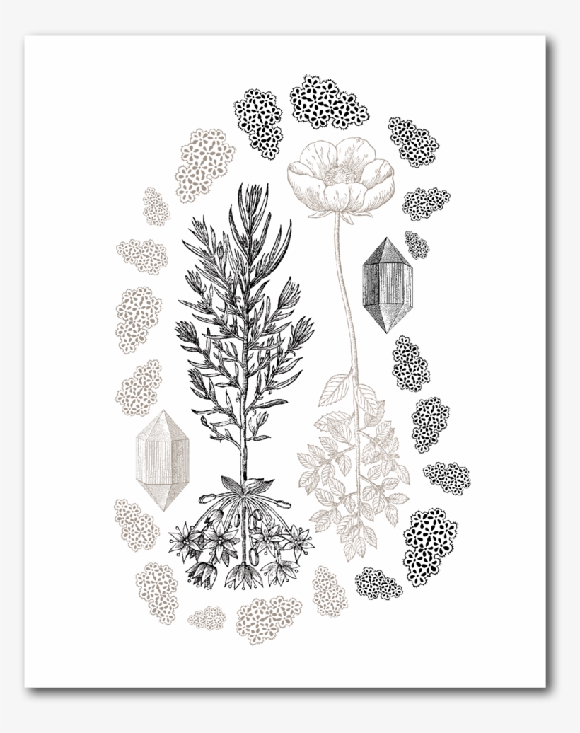 Flowers & Lace, transparent png download