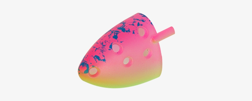 I Sp2004 - Invertebrate, transparent png download