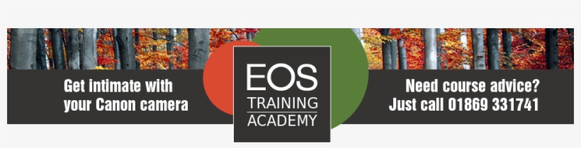 Eta-masthead Aut18 - Mentime Que Me Gusta, transparent png download