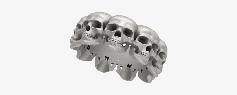 Photograph, transparent png download