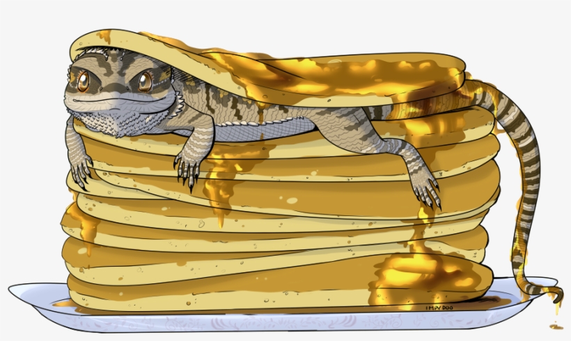 Just A Stack Of Pancakes Covered In Syrup - Bearded Dragon Art, transparent png download