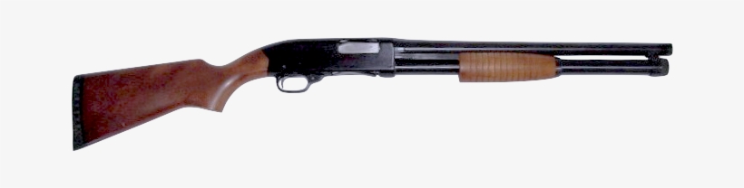 W1200 Shotgun, transparent png download