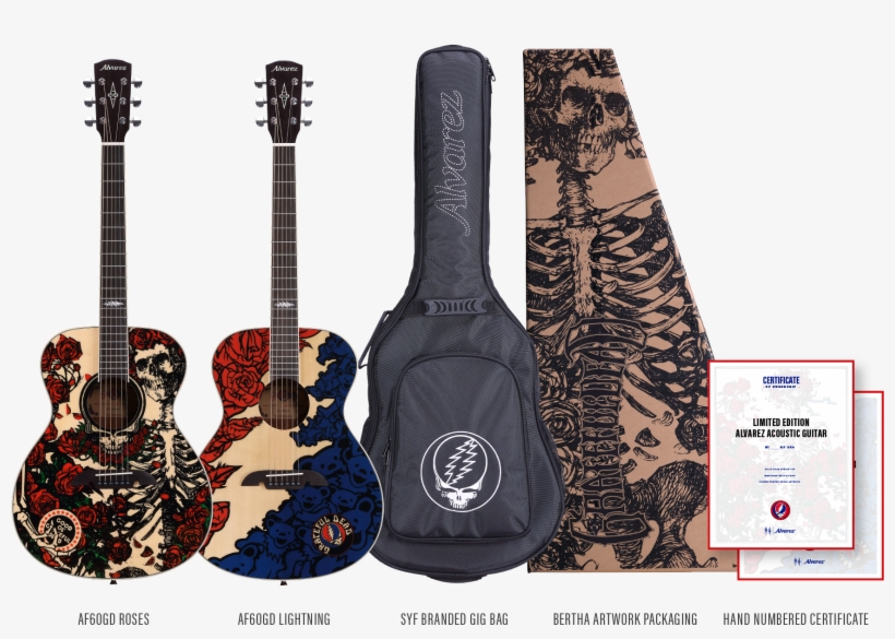Buy Now - Grateful Dead Pick Tin Gdpt01m Medium, transparent png download