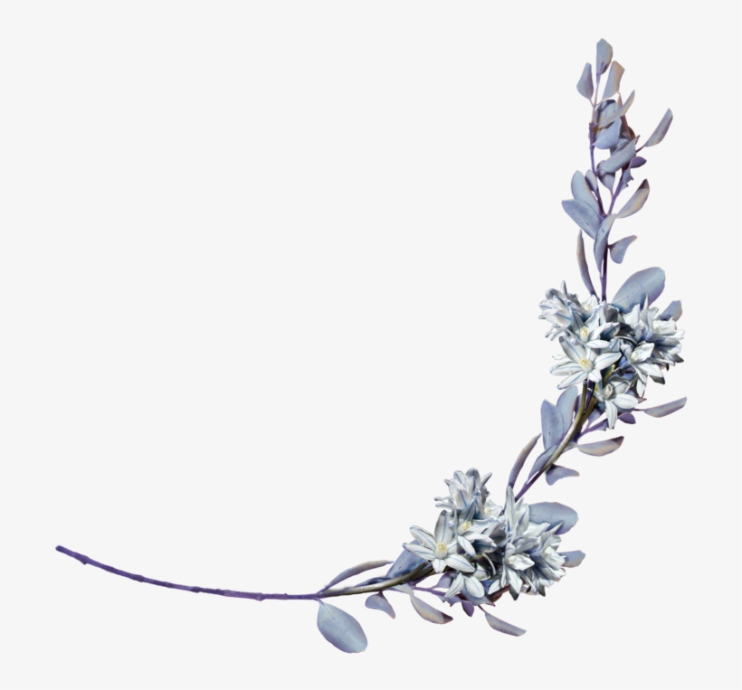 Hyacinths With A Laurel Branch Png By Amalus-d4jhzppright - Lavender Branch Png, transparent png download