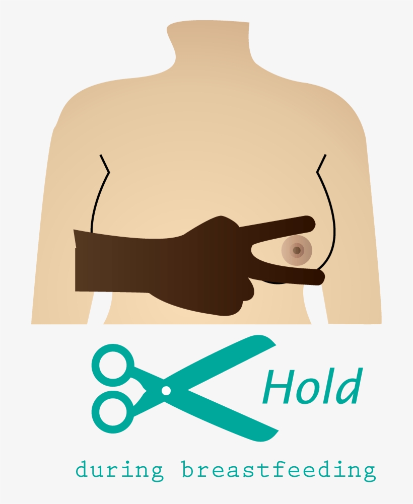 The V Or Scissors Hold - Breastfeeding Position, transparent png download
